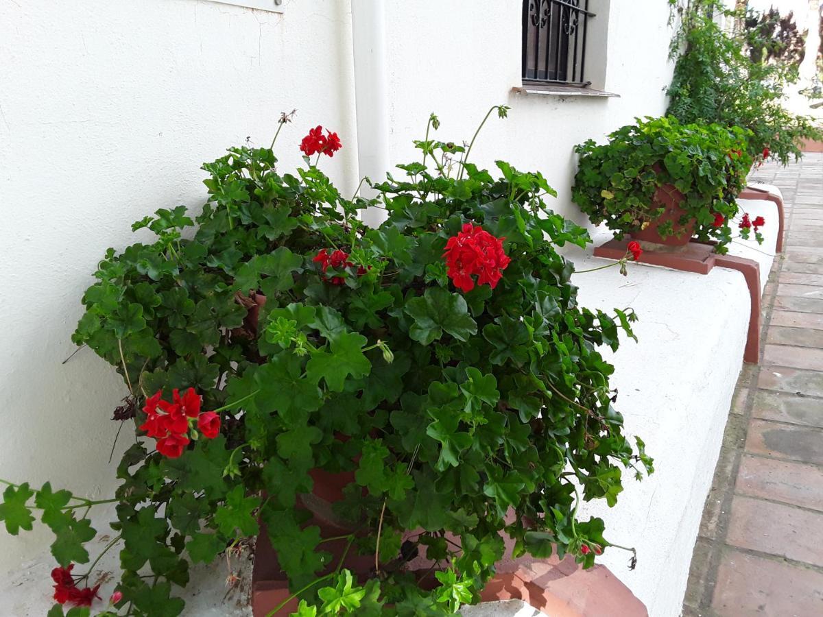 Dona Lola , Luminoso Apartamento Calahonda, Mijas Sitio de Calahonda Exterior photo