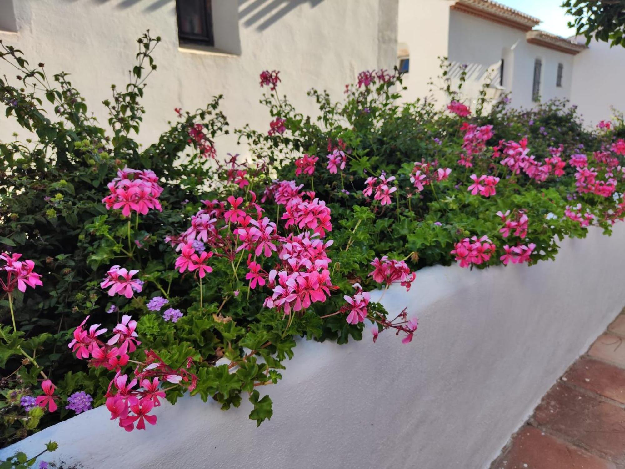 Dona Lola , Luminoso Apartamento Calahonda, Mijas Sitio de Calahonda Exterior photo